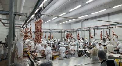 Destacan récord histórico en exportaciones de carne paraguaya - ADN Digital