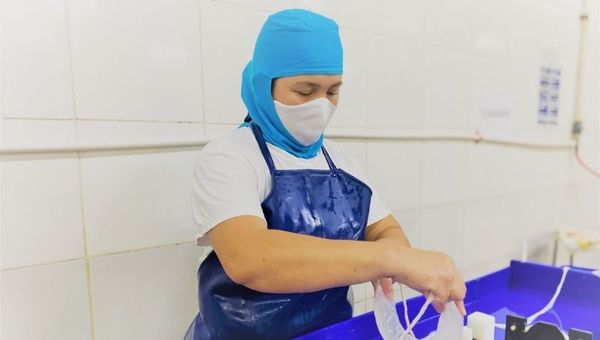 Van Hessen: la neerlandesa líder en procesamiento de menudencias proyecta incrementar en 50% su producción en Paraguay
