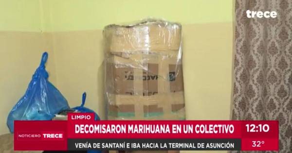 La Nación / Detectan 19 kilos de marihuana en ómnibus