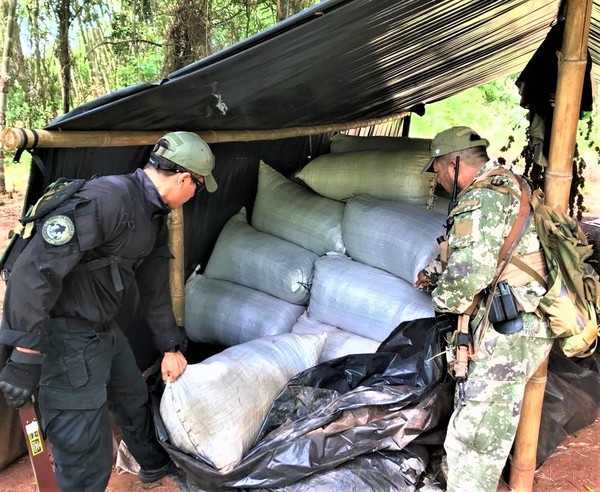 Senad y Policía Federal del Brasil operan contra la producción de marihuana en Amambay - .::Agencia IP::.