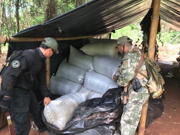 Senad y Policía Federal del Brasil trabajan en conjunto contra la producción de marihuana en Amambay