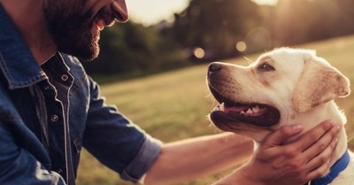 Esta es la razón por la que deberías dar “like” en Tinder a las personas con perros - SNT