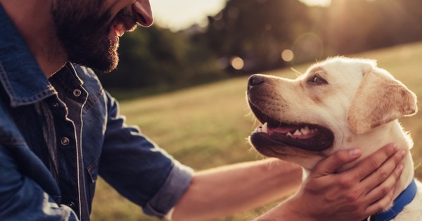 Esta es la razón por la que deberías dar “like” en Tinder a las personas con perros - SNT