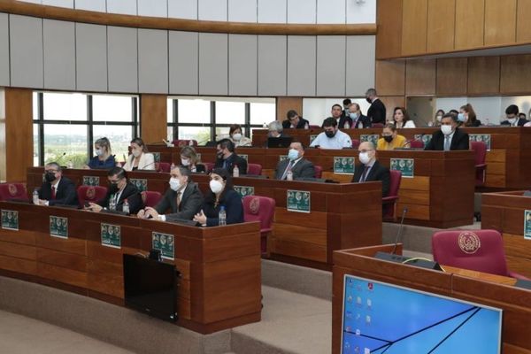 PGN2022: Senado repondrá recortes a FEEI y ODESUR