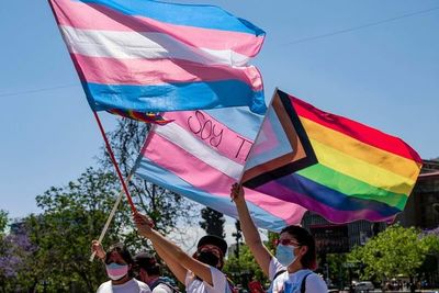 Investigan exclusión de comunidad LGBT+ en encuestas para censo en Brasil - Mundo - ABC Color