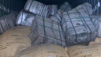 Cae cargamento de cocaína de organización liderada por papá de importante actriz colombiana