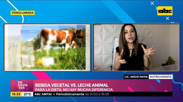 Leche vegetal y leche animal ¿Intolerante o alérgico a la leche? - Ensiestados - ABC Color