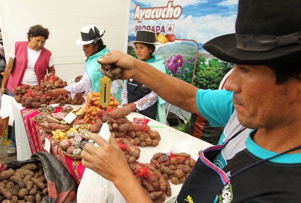 El Gobierno de Perú dará una subvención a más de 300.000 agricultores - MarketData