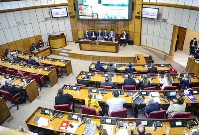 PGN 2022: Senado devolvería fondos al FEEI y Fonacide - Nacionales - ABC Color