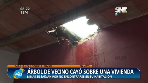 Árbol de vecino cayó sobre una vivienda y destrozó el techo - SNT