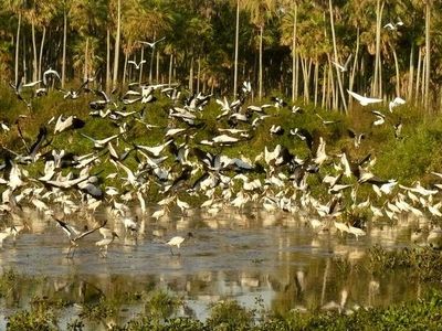 ¿Es posible un turismo sostenible en Paraguay? - Viajes - ABC Color