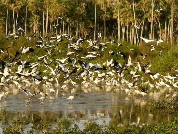 ¿Es posible un turismo sostenible en Paraguay? - Viajes - ABC Color