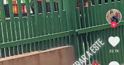 La Nación / ¿Buscando a Roque?: por TikTok rastrea al repartidor que le robó el corazón