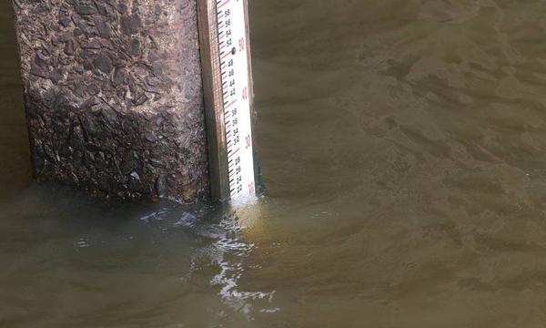 Tras las lluvias, río Paraguay crece 15 cm en las últimas 24 horas – Prensa 5