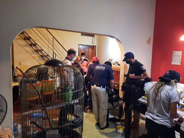 Crimen de alemanes: 4 detenidos hasta ahora y “todavía hay mucho más” - Nacionales - ABC Color