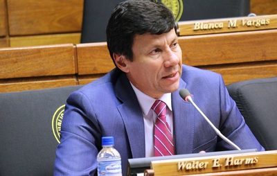 Harms afirma que no hay argumentos para destituir a Celeste Amarilla, pero sí para una sanción | Ñanduti