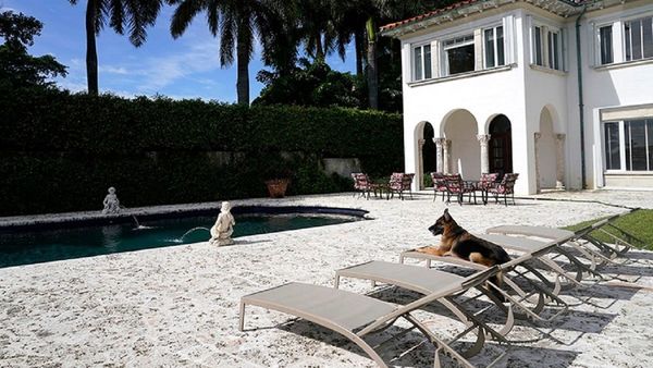 El perro más rico del mundo vende casa por casi USD 32 millones