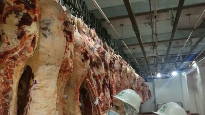 Ven con optimismo apertura de mercado de EEUU para carne bovina