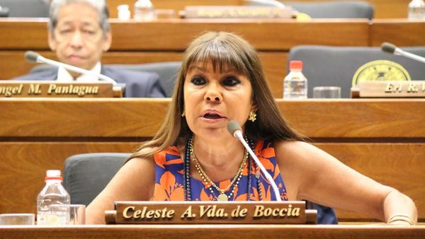 Honor Colorado no apoyará pedido de destitución de Celeste Amarilla