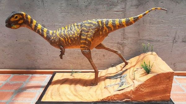 Descubren en Brasil un dinosaurio "muy raro" del período Cretácico