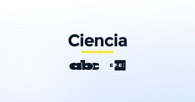 Otra demanda para Meta y otros clics tecnológicos - Ciencia - ABC Color