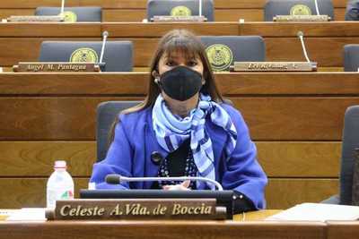 Proyecto de resolución para tratar expulsión de diputada Celeste Amarilla fue enviado a Pedro Alliana - ADN Digital