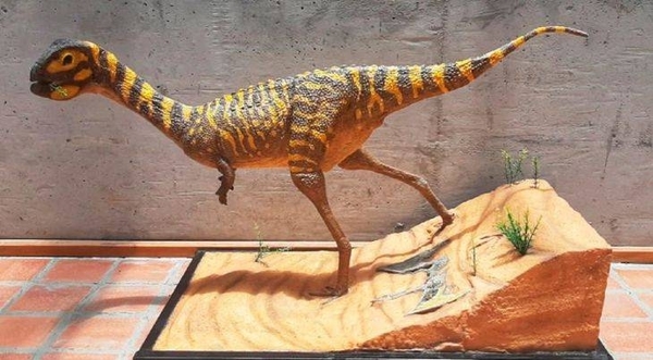 Diario HOY | Descubren una nueva especie de dinosaurio "muy raro" en Brasil