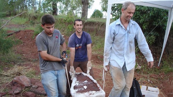Arqueólogos descubrieron un dinosaurio “muy raro” en Brasil | Ñanduti