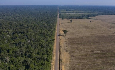 Diario HOY | Brasil registra deforestación récord en la Amazonía en últimos 15 años