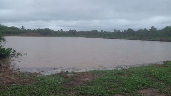 Los tajamares llenos tras la lluvia caída en parte del Chaco