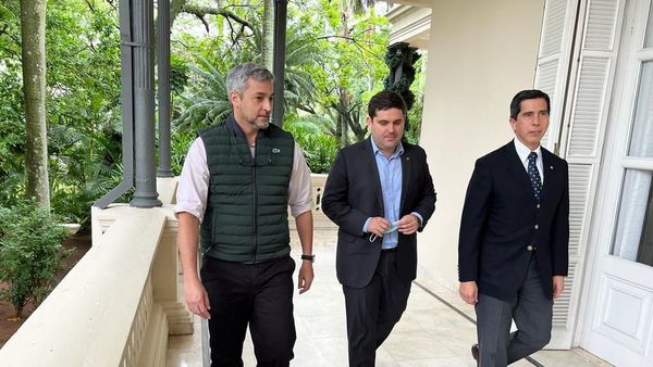 Paraguay prepara respuesta para envío de carne a EEUU