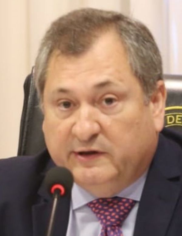 Fallos de inamovilidad son afrentas a la sociedad civil - Nacionales - ABC Color