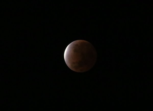 Emoción y alegría en la Costanera de Asunción por eclipse lunar