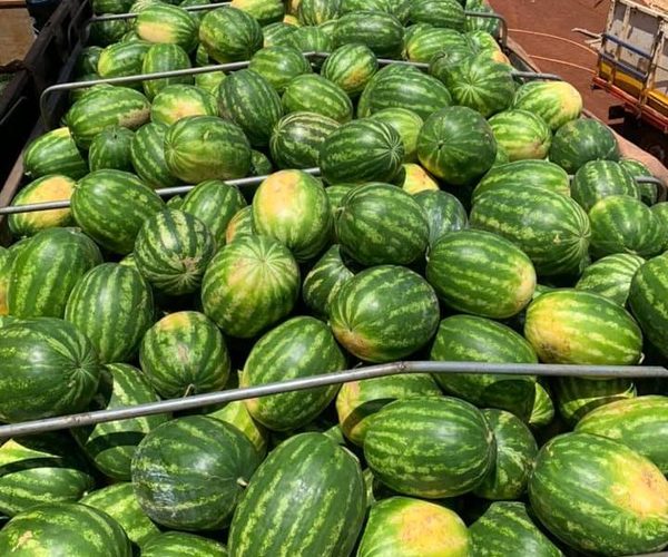 Productores claman por fin del contrabando