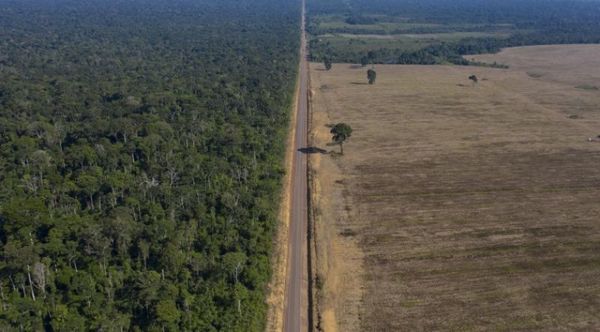Brasil registra deforestación récord en la Amazonía en últimos 15 años