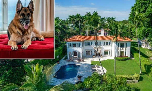 El perro más rico del mundo vendió su mansión en Miami