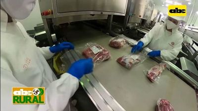 Paraguay espera hacer el primer envío de carne a Estados Unidos en el 2022 - Nacionales - ABC Color