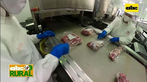 Paraguay espera hacer el primer envío de carne a Estados Unidos en el 2022 - Nacionales - ABC Color