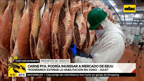 Carne paraguaya podría ingresar al mercado de Estados Unidos - A la gran 730 - ABC Color