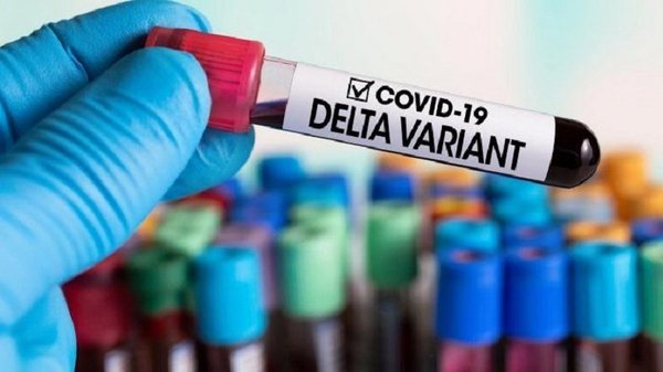 El 97% de los casos confirmados de covid corresponden a variante Delta | Noticias Paraguay