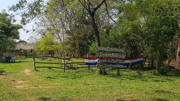 Invitan a un paseo al aire libre para conectarse con la naturaleza