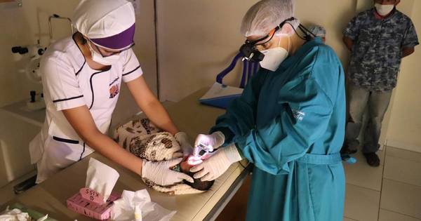 La Nación / Realizarán evaluación gratuita de desarrollo a niños prematuros de 0 a 3 años