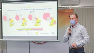 Aedes aegypti: Casi toda la Región Occidental en riesgo total