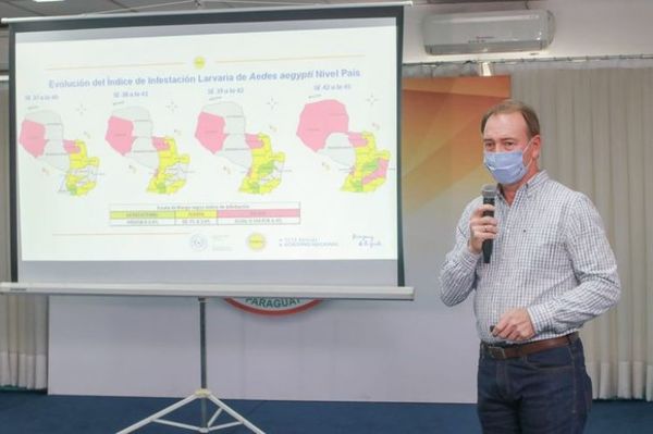 Aedes aegypti: Casi toda la Región Occidental en riesgo total