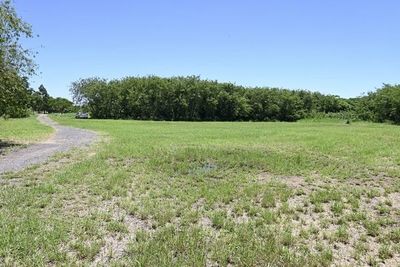 Ambientalistas insisten en que no se construya universidad en parque - Nacionales - ABC Color