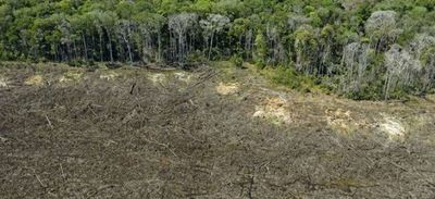 Brasil registra deforestación récord en la Amazonia en los últimos 15 años