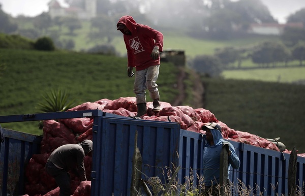 Las exportaciones de Costa Rica crecen 26 % en los primeros 10 meses del año - MarketData