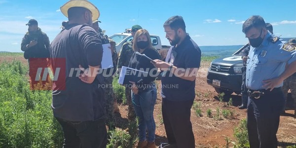 CON UNA MEDIDA CUATELAR, LA SRA. YOLANDA PUEDE INGRESAR A SUS TIERRAS NUEVAMENTE - Itapúa Noticias