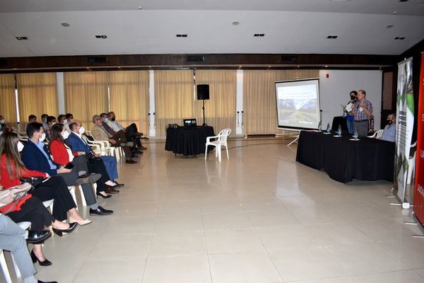ARP promueve invertir en plantaciones de árboles - Nacionales - ABC Color