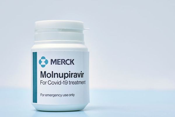 Molnupiravir es mejor que remdesivir, asegura Sequera - Nacionales - ABC Color
